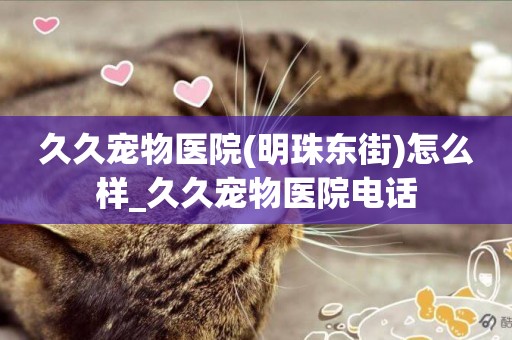 久久寵物醫院(明珠東街)怎么樣_久久寵物醫院電話