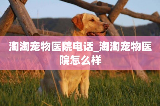 淘淘寵物醫院電話_淘淘寵物醫院怎么樣