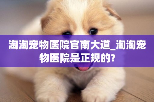 淘淘寵物醫院官南大道_淘淘寵物醫院是正規的?