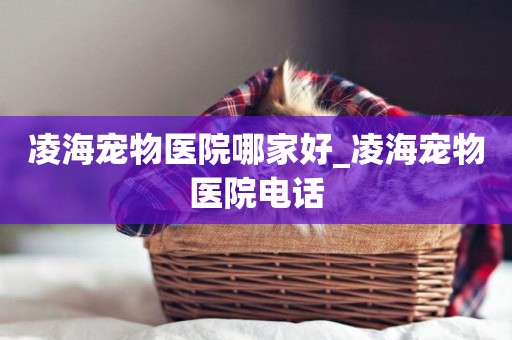 凌海寵物醫院哪家好_凌海寵物醫院電話