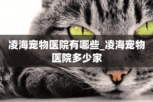 凌海寵物醫院有哪些_凌海寵物醫院多少家