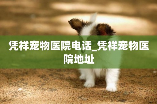 憑祥寵物醫院電話_憑祥寵物醫院地址
