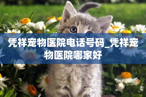 憑祥寵物醫院電話號碼_憑祥寵物醫院哪家好