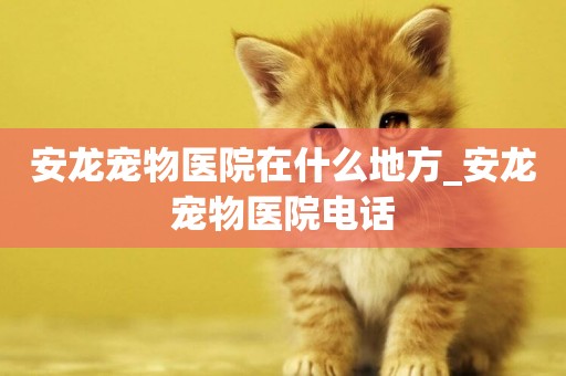 安龍寵物醫院在什么地方_安龍寵物醫院電話