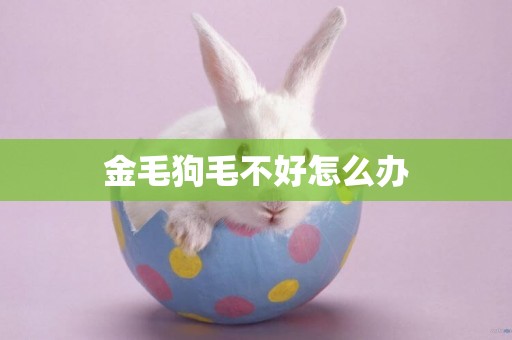 金毛狗毛不好怎么辦
