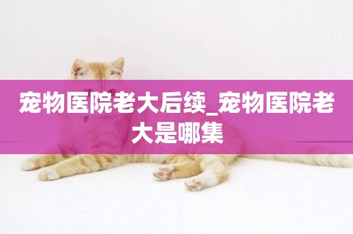 寵物醫院老大后續_寵物醫院老大是哪集