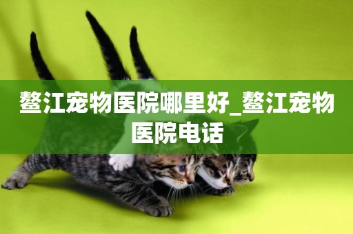 鰲江寵物醫院哪里好_鰲江寵物醫院電話