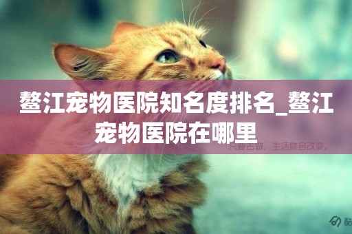 鰲江寵物醫院知名度排名_鰲江寵物醫院在哪里