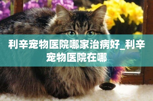 利辛寵物醫院哪家治病好_利辛寵物醫院在哪