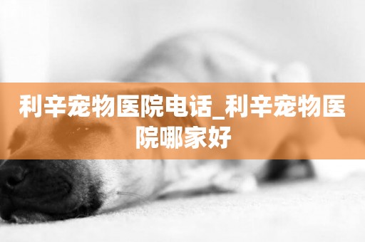 利辛寵物醫院電話_利辛寵物醫院哪家好