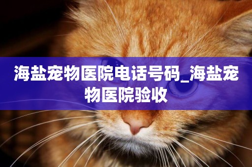 海鹽寵物醫院電話號碼_海鹽寵物醫院驗收