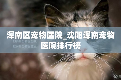 渾南區寵物醫院_沈陽渾南寵物醫院排行榜