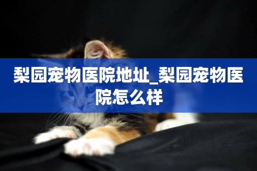 梨園寵物醫院地址_梨園寵物醫院怎么樣
