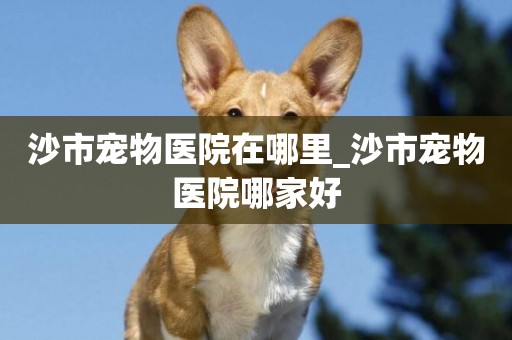沙市寵物醫院在哪里_沙市寵物醫院哪家好