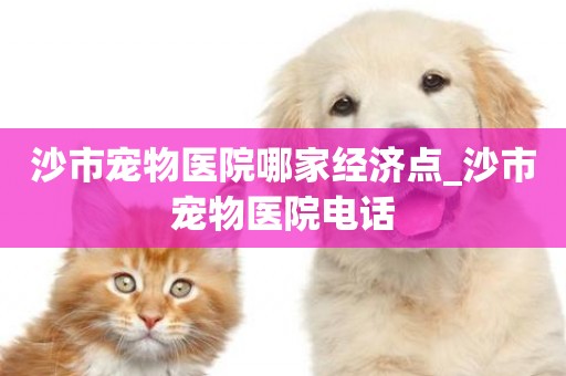沙市寵物醫院哪家經濟點_沙市寵物醫院電話