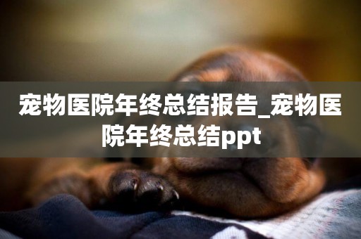 寵物醫院年終總結報告_寵物醫院年終總結ppt