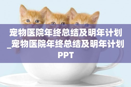 寵物醫院年終總結及明年計劃_寵物醫院年終總結及明年計劃PPT