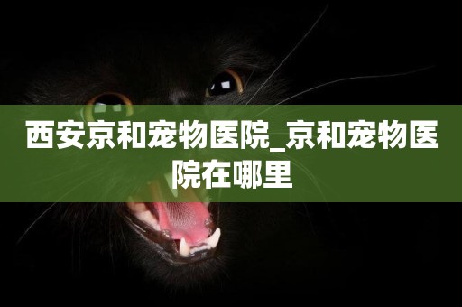 西安京和寵物醫院_京和寵物醫院在哪里