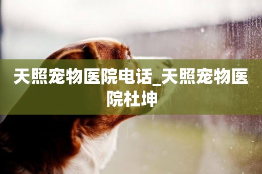 天照寵物醫院電話_天照寵物醫院杜坤