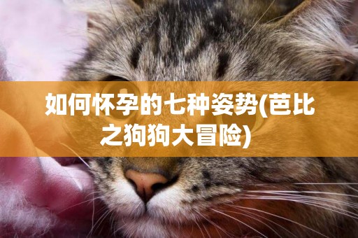 如何懷孕的七種姿勢(芭比之狗狗大冒險) 