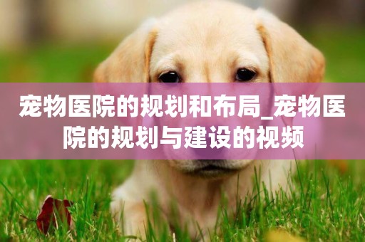 寵物醫院的規劃和布局_寵物醫院的規劃與建設的視頻