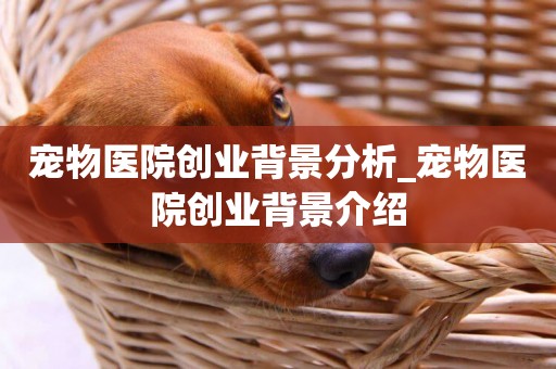 寵物醫院創業背景分析_寵物醫院創業背景介紹