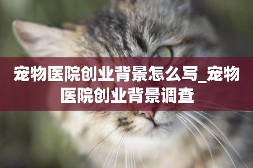 寵物醫院創業背景怎么寫_寵物醫院創業背景調查