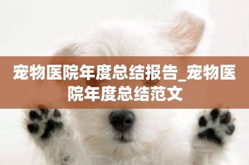 寵物醫院年度總結報告_寵物醫院年度總結范文