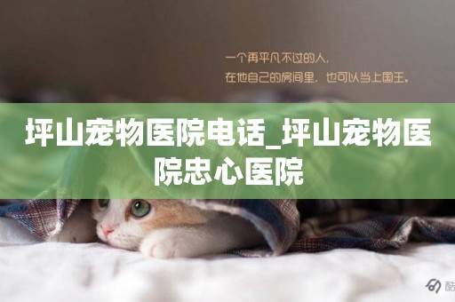 坪山寵物醫院電話_坪山寵物醫院忠心醫院
