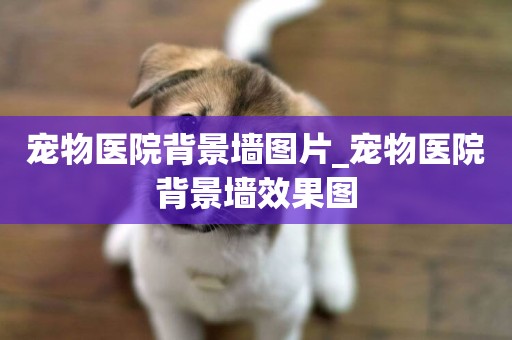寵物醫院背景墻圖片_寵物醫院背景墻效果圖
