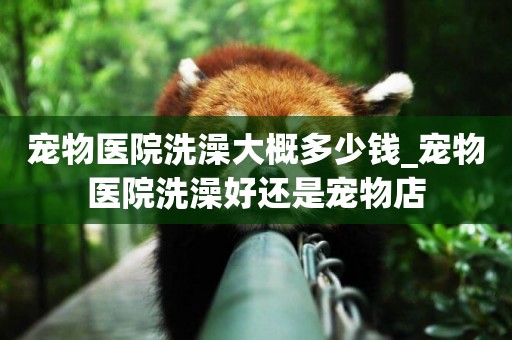寵物醫院洗澡大概多少錢_寵物醫院洗澡好還是寵物店