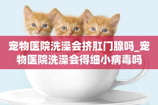 寵物醫院洗澡會擠肛門腺嗎_寵物醫院洗澡會得細小病毒嗎