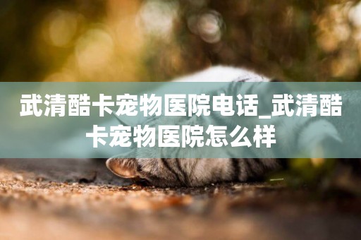 武清酷卡寵物醫院電話_武清酷卡寵物醫院怎么樣