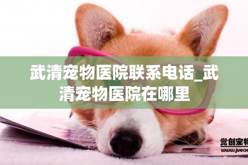 武清寵物醫院聯系電話_武清寵物醫院在哪里
