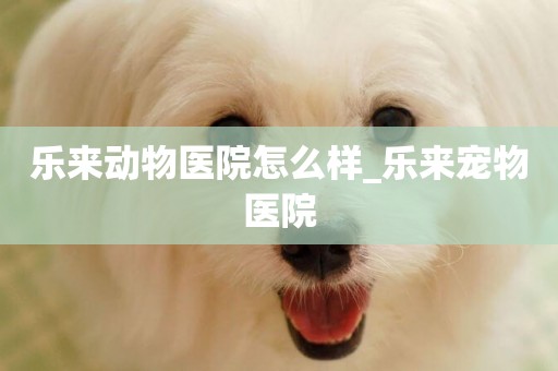 樂來動物醫院怎么樣_樂來寵物醫院