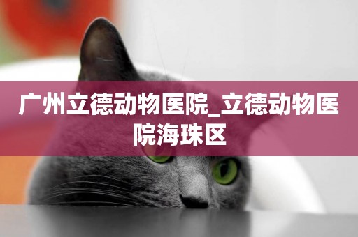 廣州立德動物醫院_立德動物醫院海珠區