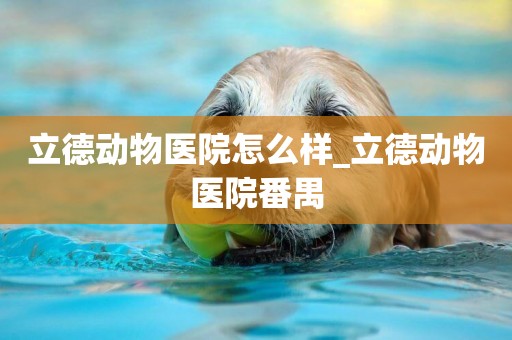 立德動物醫院怎么樣_立德動物醫院番禺