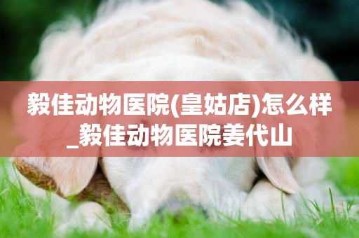 毅佳動物醫院(皇姑店)怎么樣_毅佳動物醫院姜代山