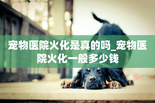 寵物醫院火化是真的嗎_寵物醫院火化一般多少錢