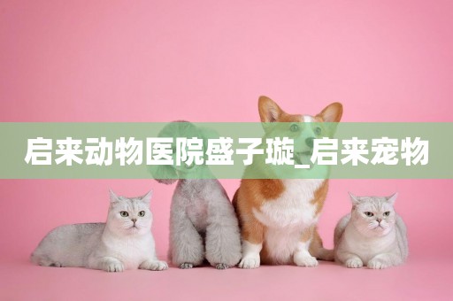 啟來動物醫院盛子璇_啟來寵物