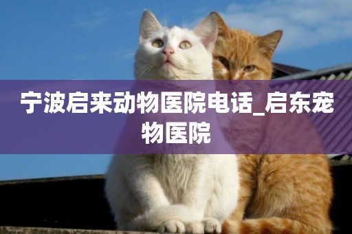 寧波啟來動物醫院電話_啟東寵物醫院