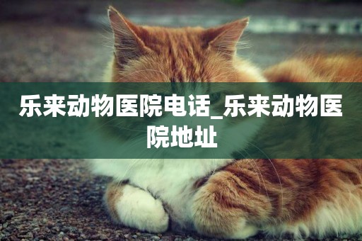 樂來動物醫院電話_樂來動物醫院地址