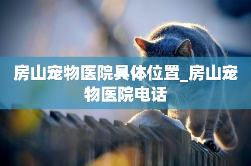房山寵物醫院具體位置_房山寵物醫院電話