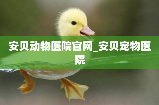 安貝動物醫院官網_安貝寵物醫院