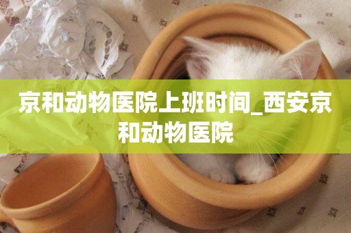 京和動物醫院上班時間_西安京和動物醫院