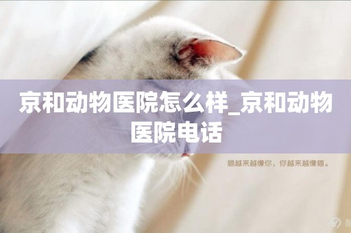 京和動物醫院怎么樣_京和動物醫院電話