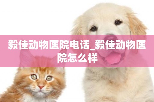 毅佳動物醫院電話_毅佳動物醫院怎么樣