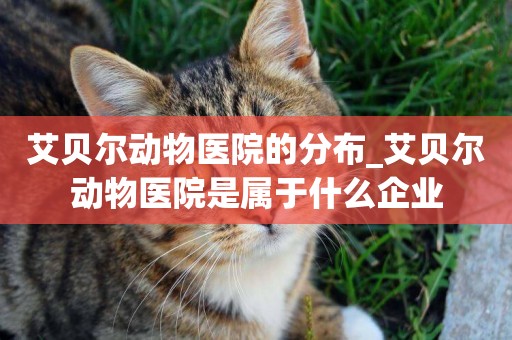 艾貝爾動物醫院的分布_艾貝爾動物醫院是屬于什么企業