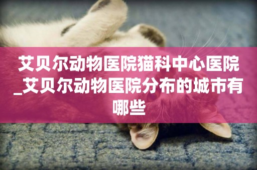 艾貝爾動物醫院貓科中心醫院_艾貝爾動物醫院分布的城市有哪些