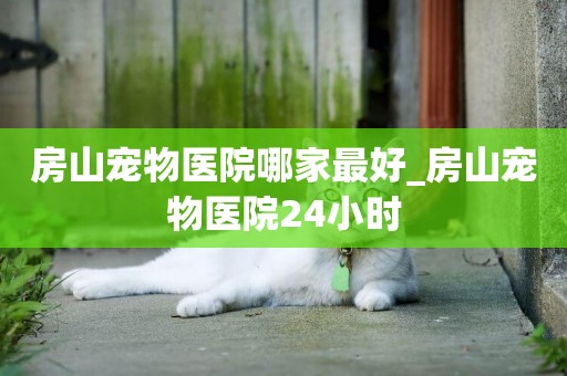 房山寵物醫院哪家最好_房山寵物醫院24小時